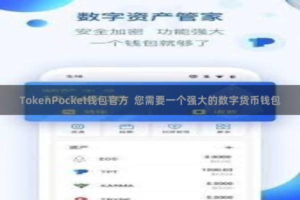 TokenPocket钱包官方  您需要一个强大的数字货币钱包
